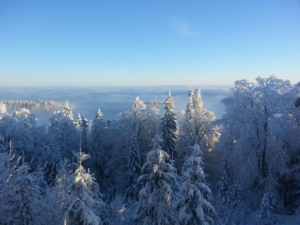Chalet Baluma Maluba Яхорина Экстерьер фото